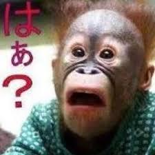職場に新人が入ってきたら優しくしますか？厳しくしますか？