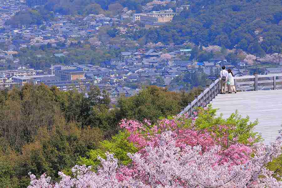 春の京都旅行のおすすめ