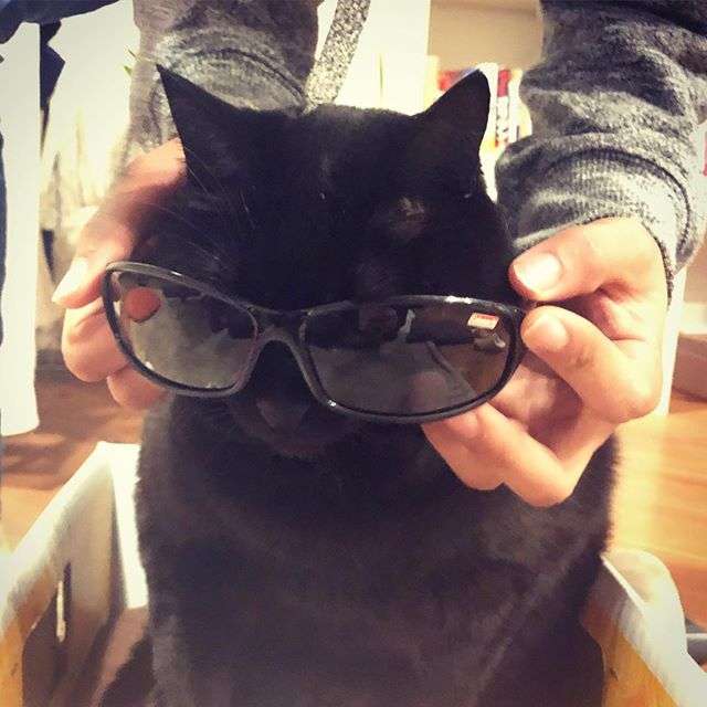 有名なタイトルに合ってるような画像を貼るトピ