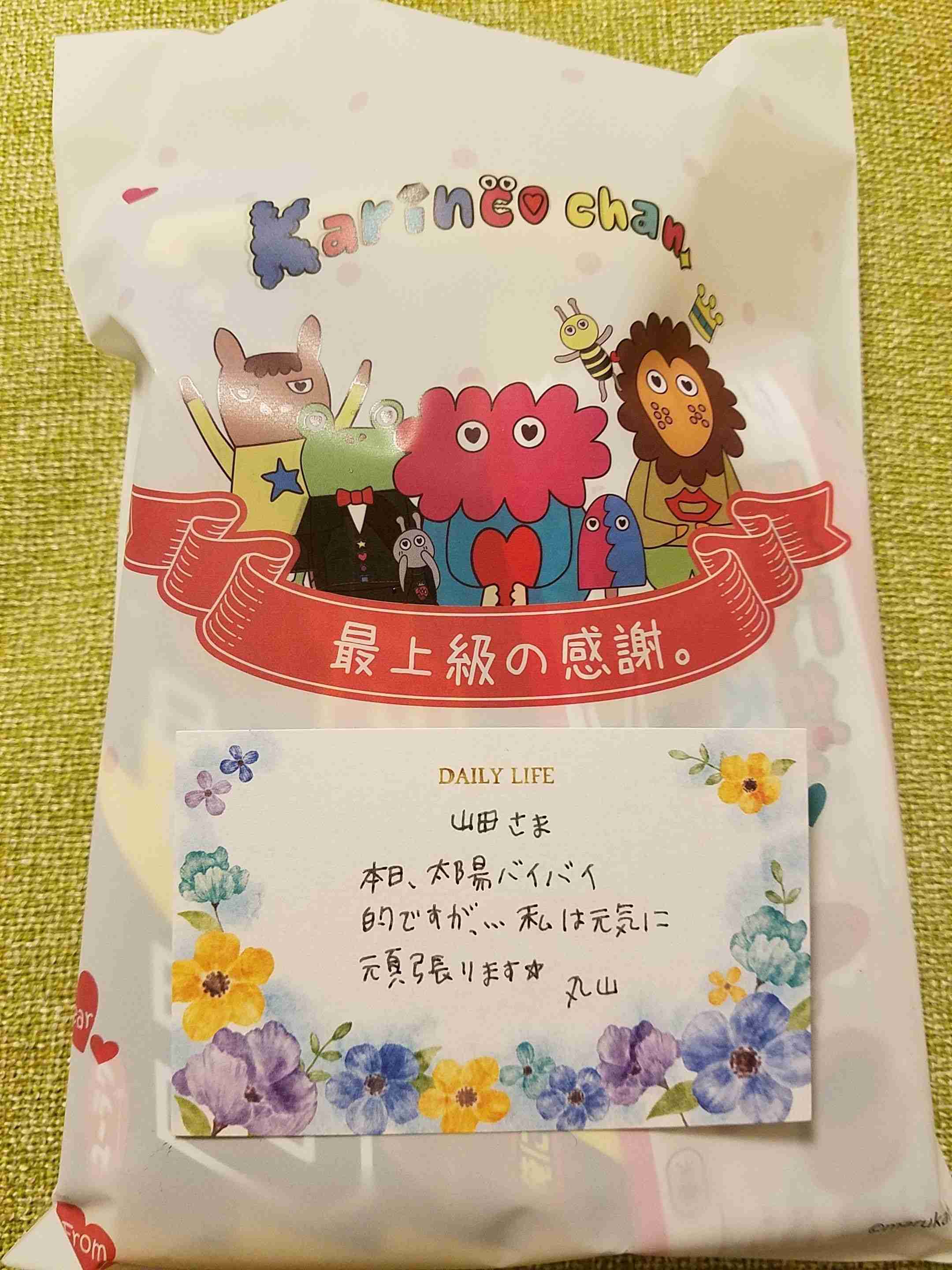 「丸山桂里奈のせいで！」鈴木奈々の言葉に傷付いていたが、その後…