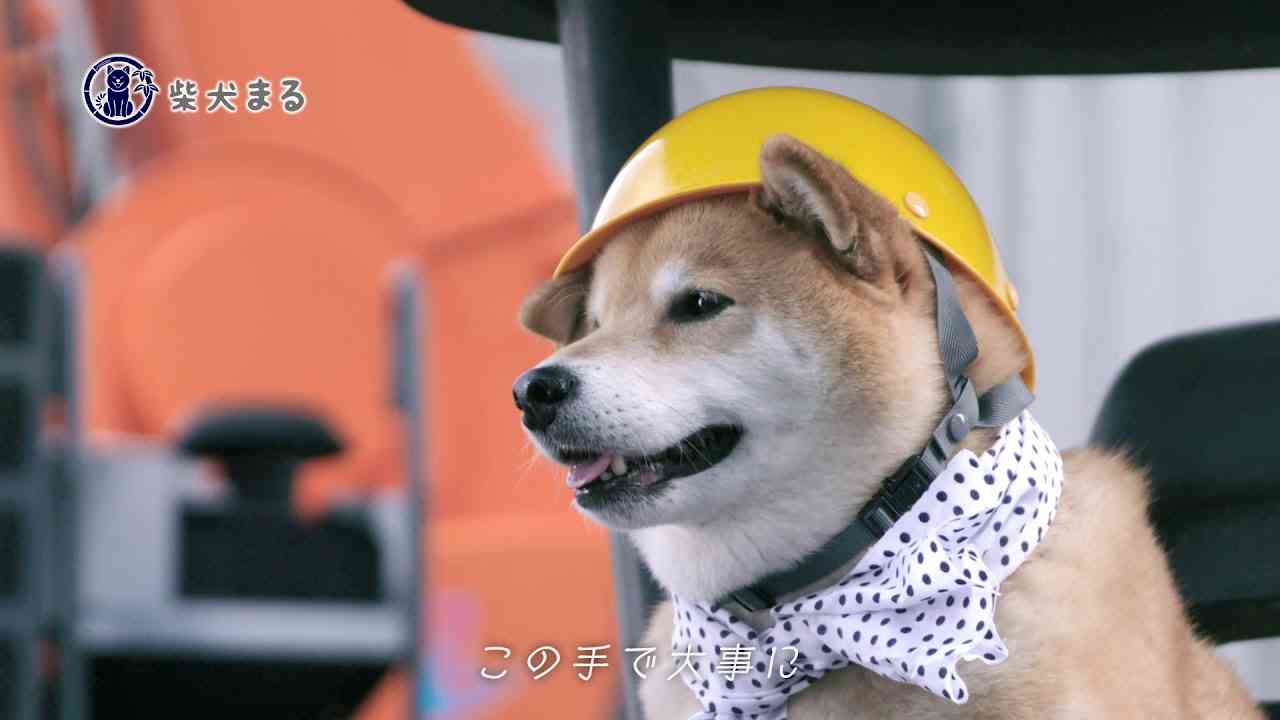 サムティCM「あなたのそばに」篇（30秒） - YouTube