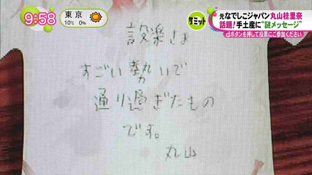 「丸山桂里奈のせいで！」鈴木奈々の言葉に傷付いていたが、その後…