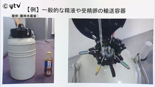和牛の受精卵　流出元は徳島県の畜産農家「面識がない人物に売った」