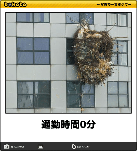 通勤時間含めた仕事の日の出勤・帰宅時間は？