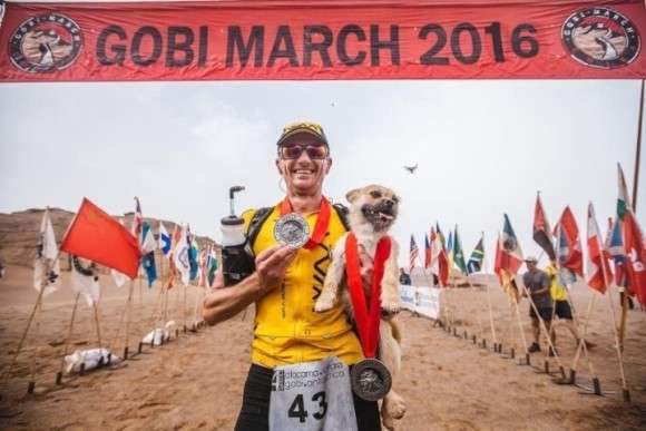 ヒマラヤ登山隊について来た野良犬、そのまま登頂に成功してしまう