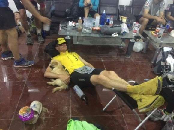 ヒマラヤ登山隊について来た野良犬、そのまま登頂に成功してしまう