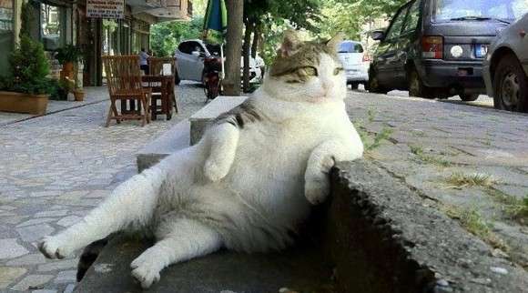 有名なタイトルに合ってるような画像を貼るトピ