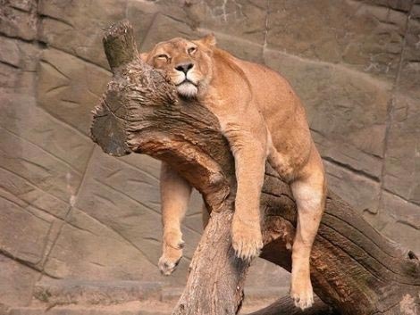 日曜が終わる…そんな気分を画像で表すトピ