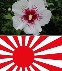 韓国の国花・ムクゲに旭日旗疑惑が浮上…国花にしている韓国を見て日本人が笑っている