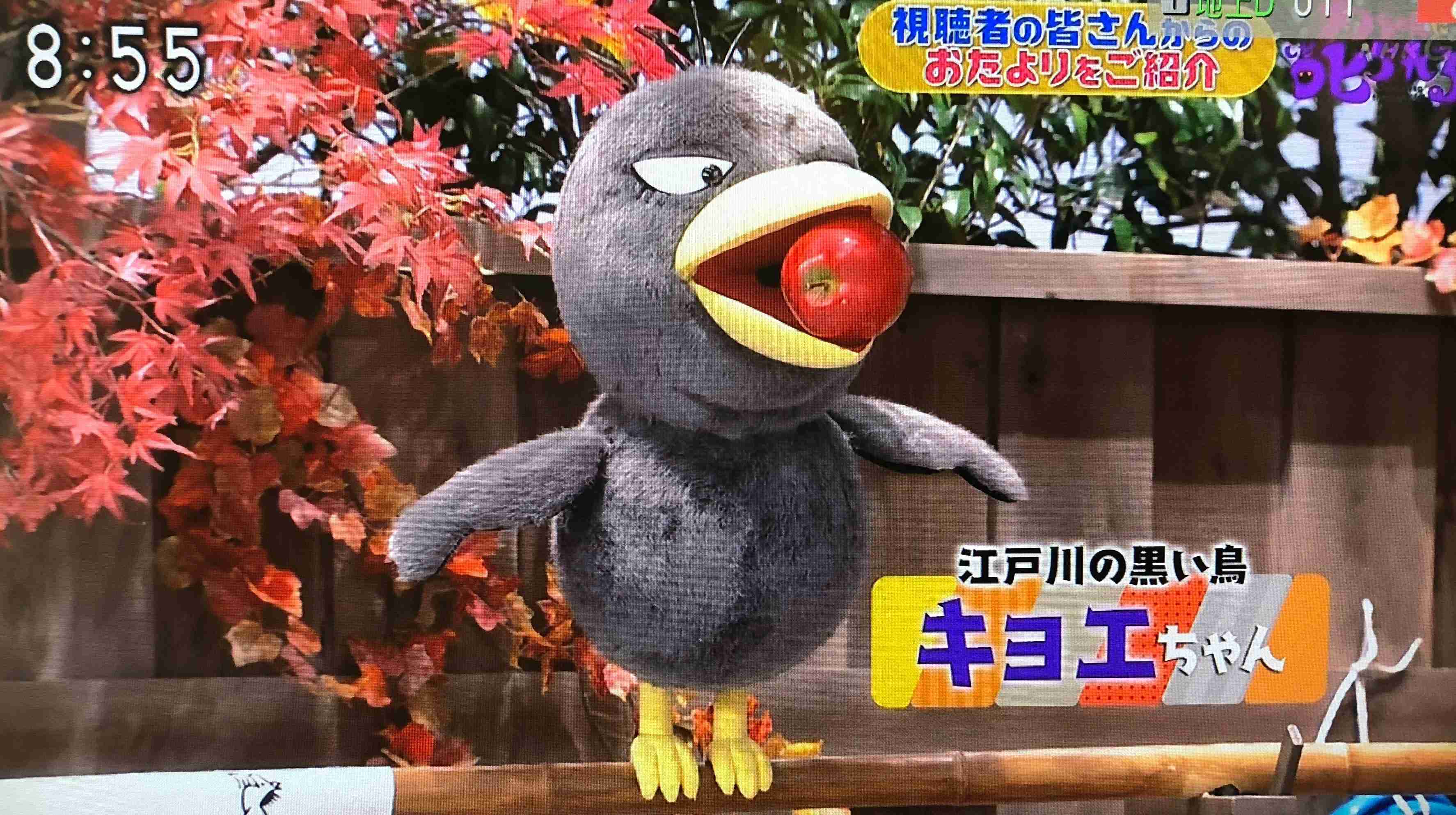 「ボーっと生きてんじゃねえよ」だけじゃない？　チコちゃんの新しい叱り文句が話題に