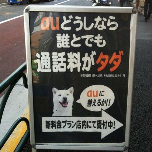 【携帯】補償サービスに加入していますか?