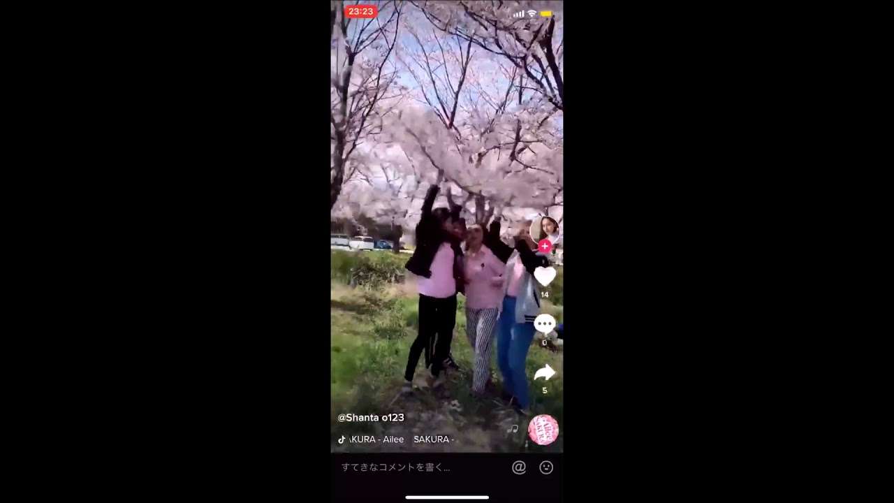 外国人観光客が桜を揺らす迷惑行為が話題(; ･`д･´)?? TikTok - YouTube