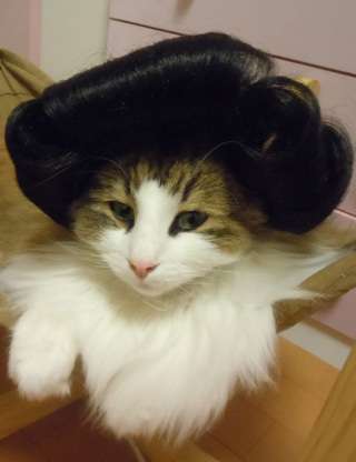 動物による紅白歌合戦