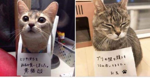 最近反省したこと