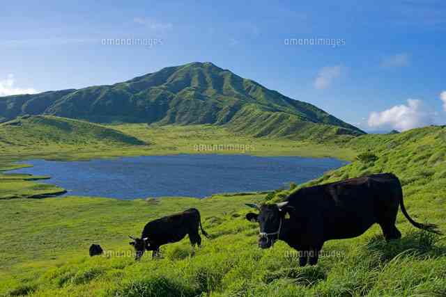 秋篠宮殿下、度重なるご心労で体調に異変　眠剤処方、