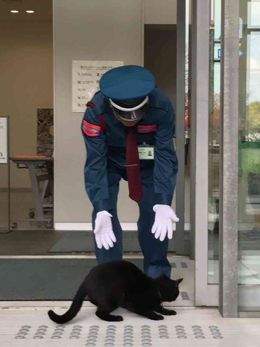 なぜそこにいる⁈ ってなる猫画像