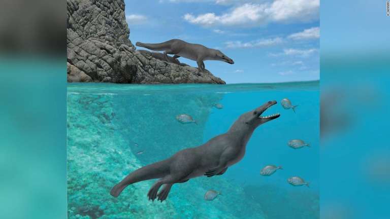 CNN.co.jp : 太古のクジラ、４本足だった　南米で初の発見