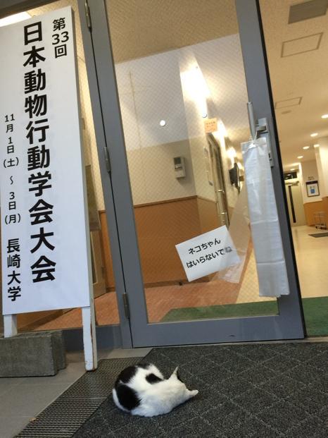 【画像・コピペ・エピソード】とにかくみんなに『なんでだよw』って言わせるトピ