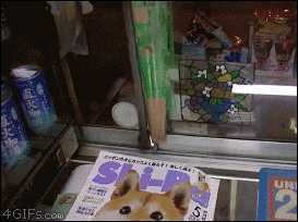 がるちゃんでよく検索するワード