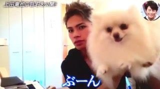 KAT-TUN上田竜也「必要としてくれていることが嬉しい」世界的ダンスカンパニーの日本初公演で主演