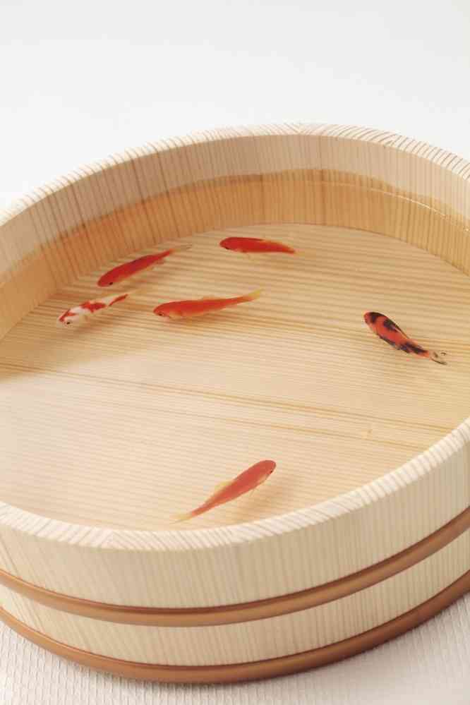 食品サンプルが好き【画像を貼ろう】
