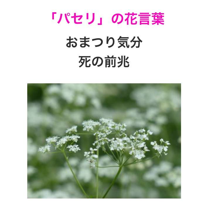 【画像・コピペ・エピソード】とにかくみんなに『なんでだよw』って言わせるトピ