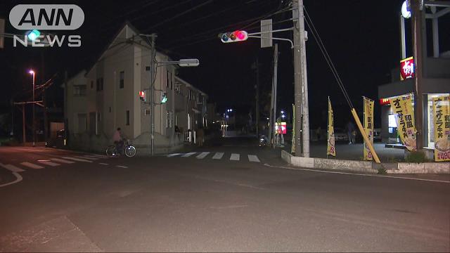 ひき逃げされ74歳女性死亡 運転手の78歳男逮捕「免許がなくなると思った」 (2019年4月14日掲載) - ライブドアニュース