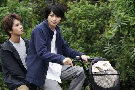 横浜流星のクールな表情から感極まる姿まで… 映画『チア男子!!』場面写真公開