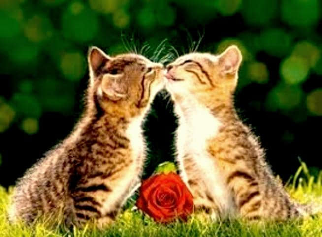 悪魔崇拝 | きじねこスピリチュアルブログ