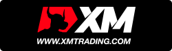現時点で最良のFX業者とその使い分け方 - FXをはじめよう。
