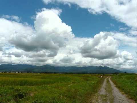 夏影～高音質 - YouTube