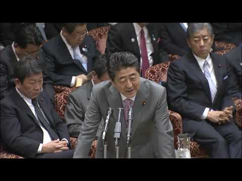 西田昌司　参議院決算委員会質問（2019.4.4） - YouTube