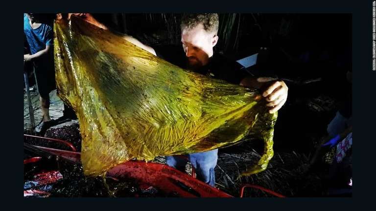 CNN.co.jp : クジラの死骸から４０キロ分のビニール袋、飢えと脱水で死ぬ