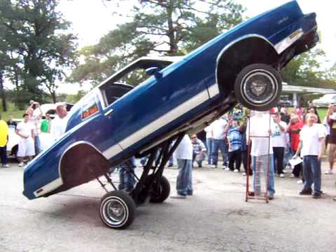 Monte on the bumper - YouTube