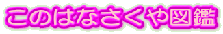 ソメイヨシノの誤解
