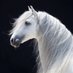 Anwen? on Twitter: "???… "