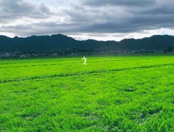 UMAに興味がある、好きな人