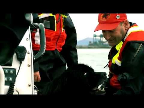 The Crufts Magazine meets the Italian Water Rescue Dogs - YouTube