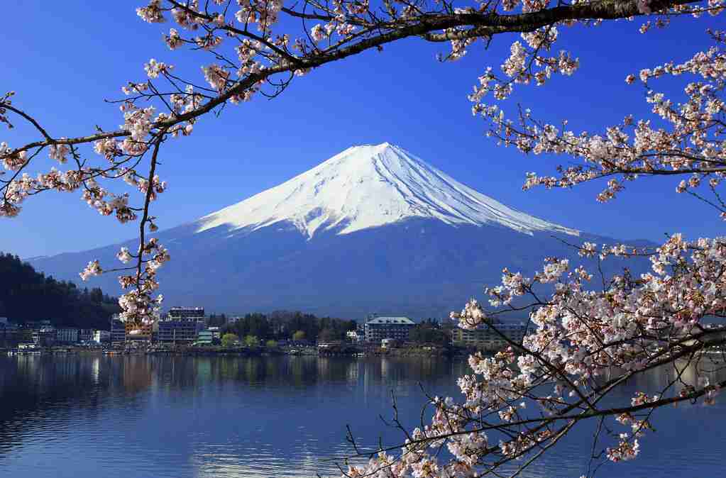 色々な富士山🗻を眺めるトピ♪