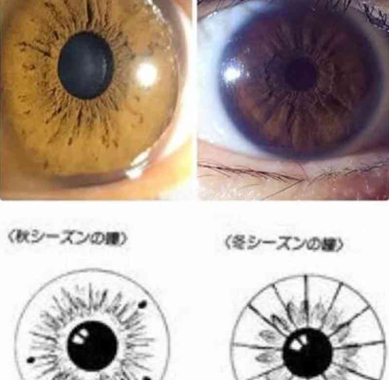 【興味ある方だけ】いろんな芸能人のパーソナルカラー