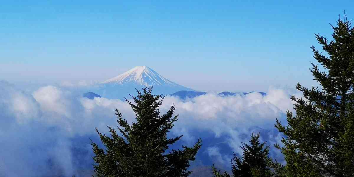 色々な富士山🗻を眺めるトピ♪
