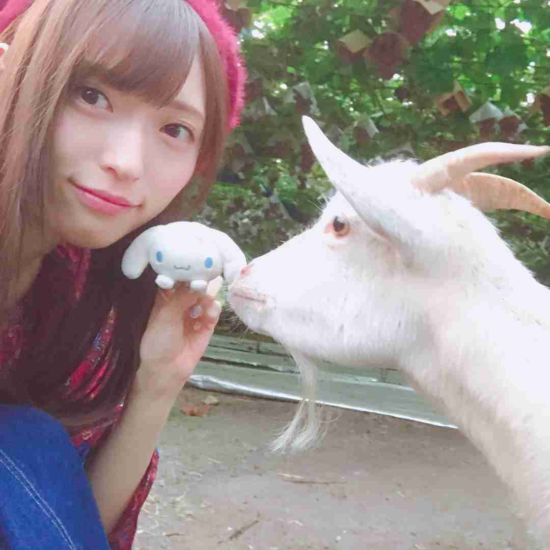 山口真帆だけ…異例の“お話会”ファンから「まるで隔離」の声　元AKBグループ総支配人・戸賀崎氏、20日に説明会