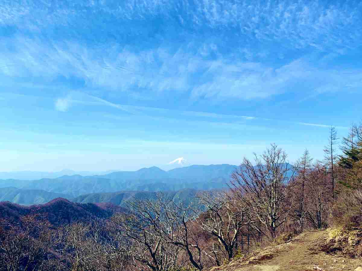 色々な富士山🗻を眺めるトピ♪