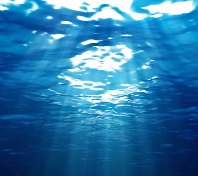 ・・海底散策・・・