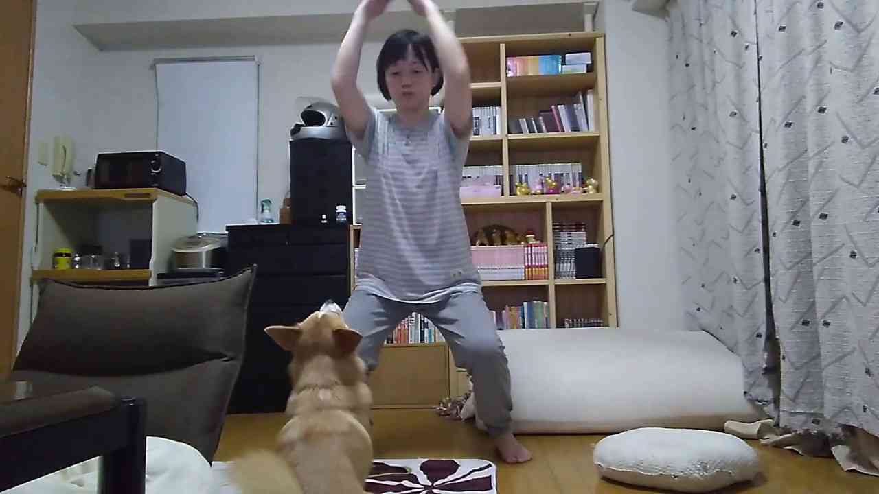 ピンク筋スクワットとちょび【コーギー×ペキニーズ】 - YouTube