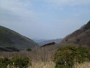 プリウスは運転が嫌いな人のための車 : 馬と猫・・・おまけに車