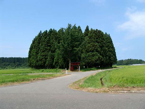 どこか切ない夏の画像を貼っていくトピpart3