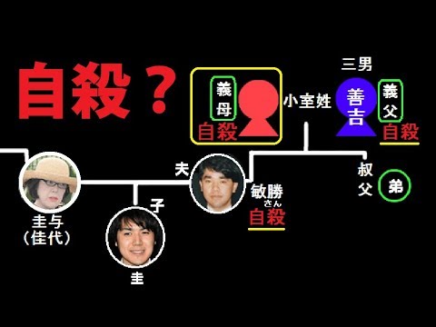 小室圭さんは「弁護士になるとは言っていません」 バイキングでミッツ「今さらこんな青臭いことを...」