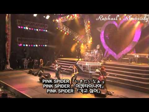 X JAPAN (X) - ピンク スパイダー(Pink Spider) LIVE 2008 (Korean, Japanese Sub) - YouTube