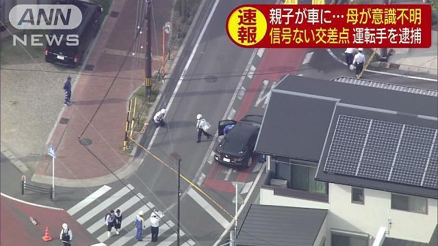 親子がひかれ…母が重体 車運転の20代男を逮捕(テレビ朝日系(ANN)) - Yahoo!ニュース
